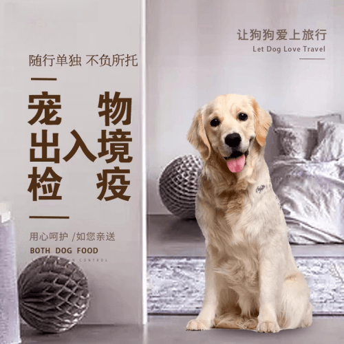 西安市宠物托运到哥伦比亚猫狗宠物入境规定和