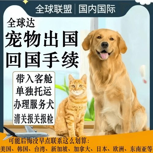 西安市宠物托运到柬埔寨宠物入境规定和要求